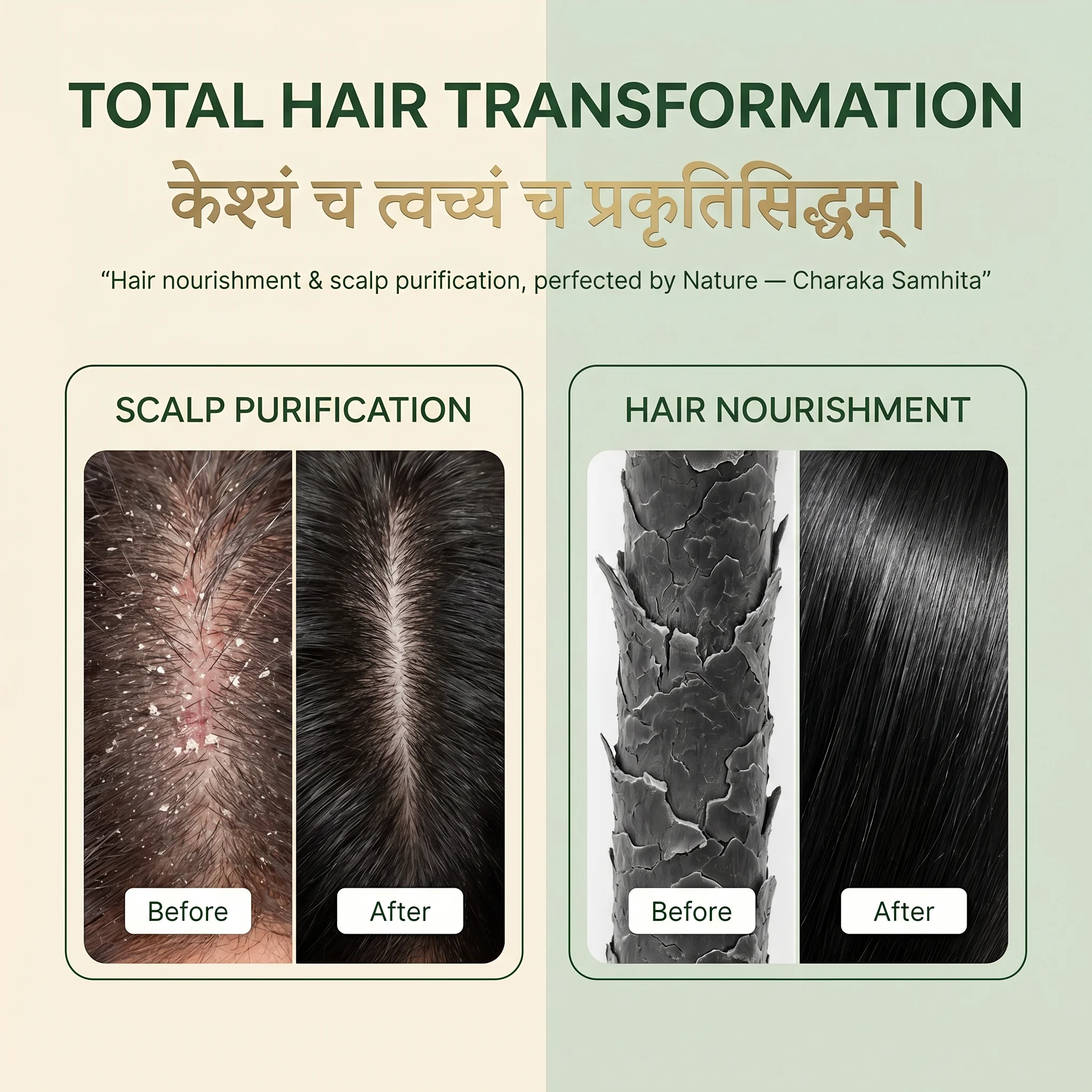 Ayurvedic Herbal Shampoo with Amla, Reetha & Shikakai | 200 ml - Image 3